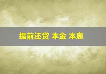 提前还贷 本金 本息